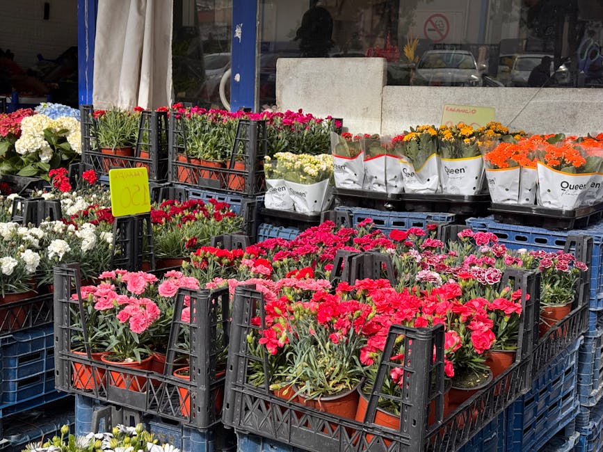 Exterior view of a flower shop displaying an array of potted flowering plants including pink, red, white, yellow, and orange blooms, arranged in black plastic crates outside the shop window. The flowe